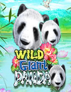 สูตร นำทาง บ้า ค่า ร่า แบบทดลองเล่น สุดเจ๋ง